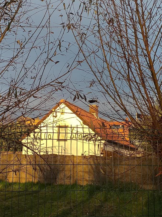 Villa Blanco Opwijk 외부 사진